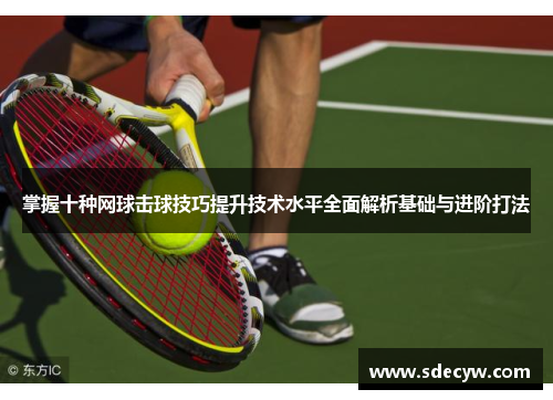 掌握十种网球击球技巧提升技术水平全面解析基础与进阶打法