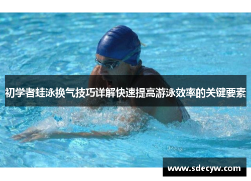 初学者蛙泳换气技巧详解快速提高游泳效率的关键要素