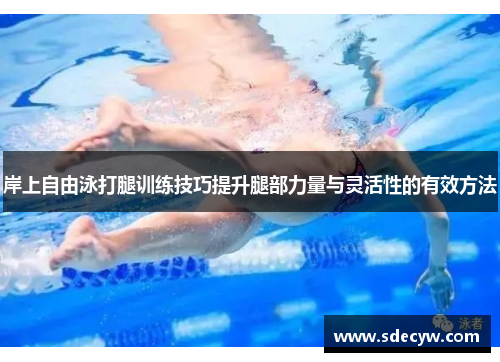 岸上自由泳打腿训练技巧提升腿部力量与灵活性的有效方法