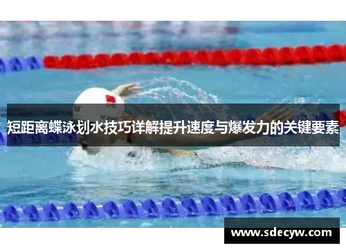 短距离蝶泳划水技巧详解提升速度与爆发力的关键要素