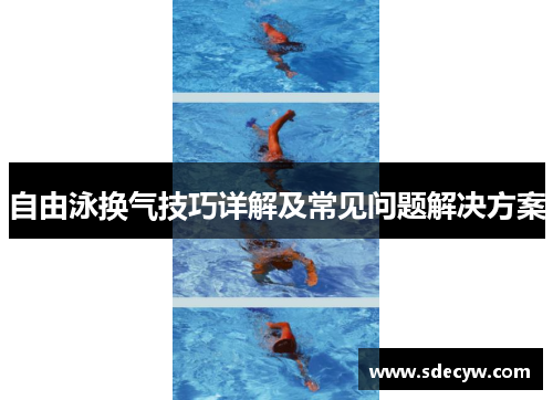 自由泳换气技巧详解及常见问题解决方案